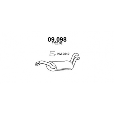 k09098