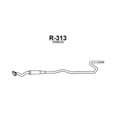 r-313